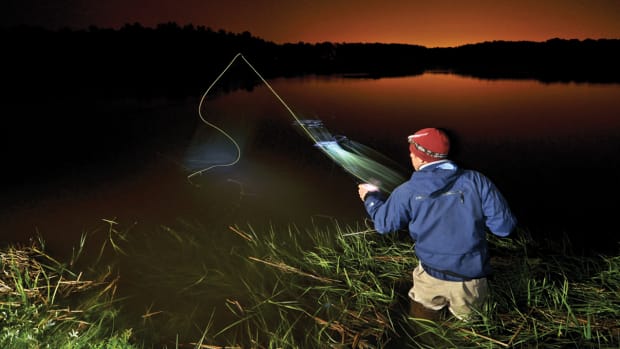Cinder worm hatches mostly take place after dark, attracting night-owl anglers and stripers.