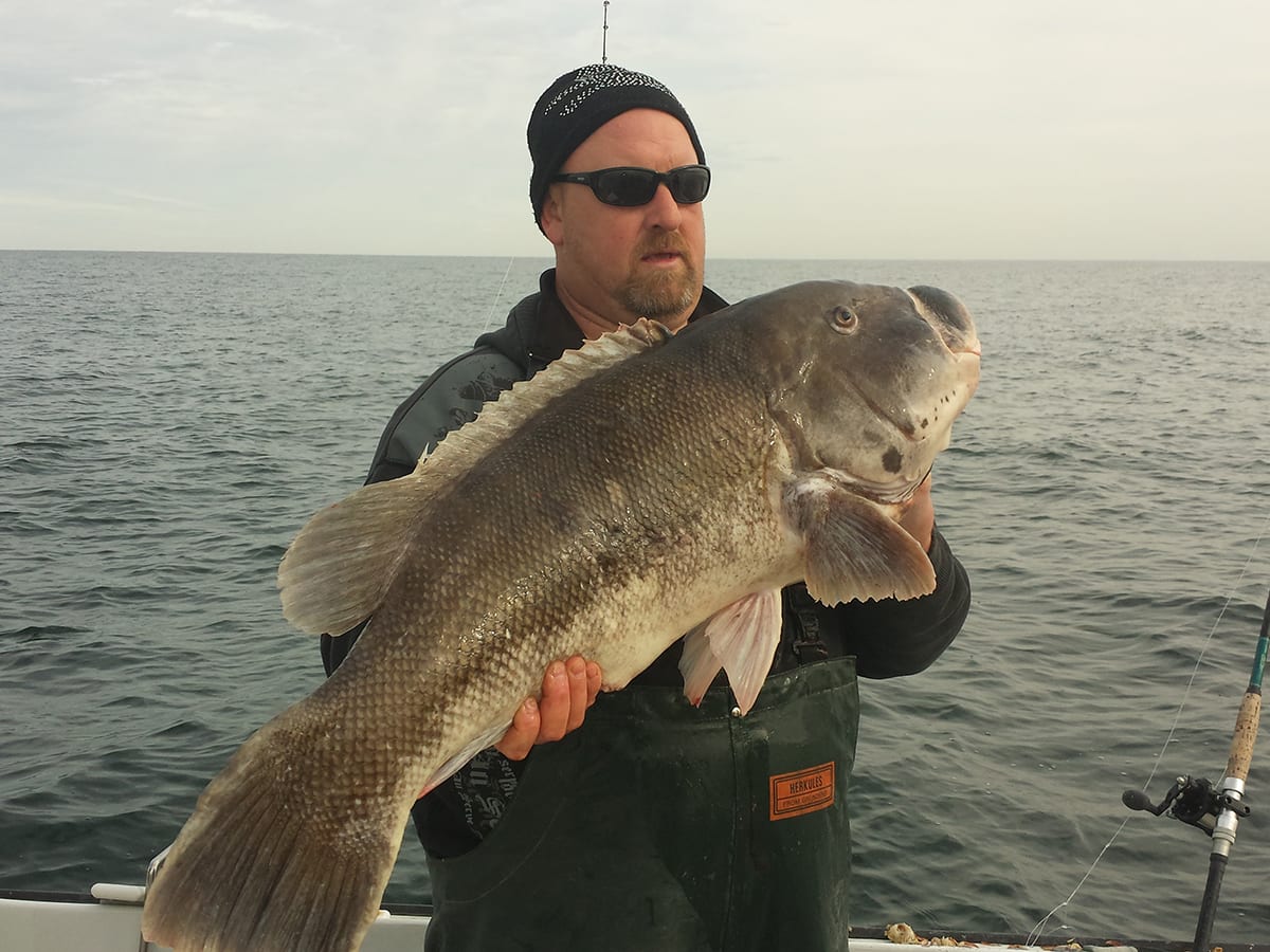 Cult of the Tog - Anglers Journal - A Fishing Life