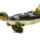The new Savage Gear Suicide Duck mimics a distressed hatchling that’s been separated from the brood, offering an easy meal for big muskie, pike, bass and other bad boys. The Suicide Duck is a dual-prop topwater bait available in two sizes, 4.25” (1oz.) and 6” (2.75 oz.), and three colors: Yellow Duck, Wood Duck and Black Bird. $17 and $20. savage-gear.com.