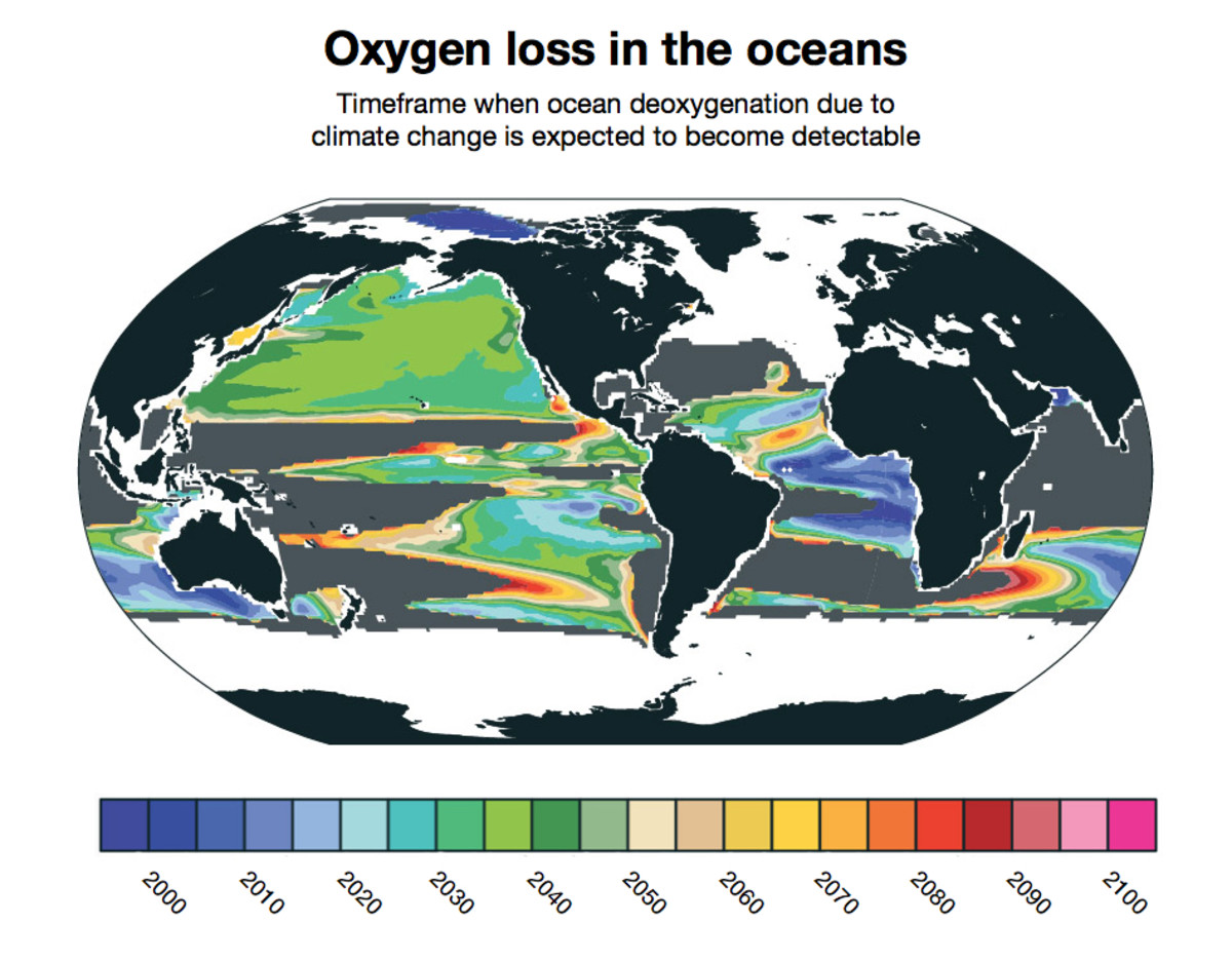 New research found that ocean deoxygenation attributable to climate change probably will become widespread between 2030 and 2040. Some parts of the ocean (shown in gray) will not have detectable losses of oxygen because of climate change even by 2100.