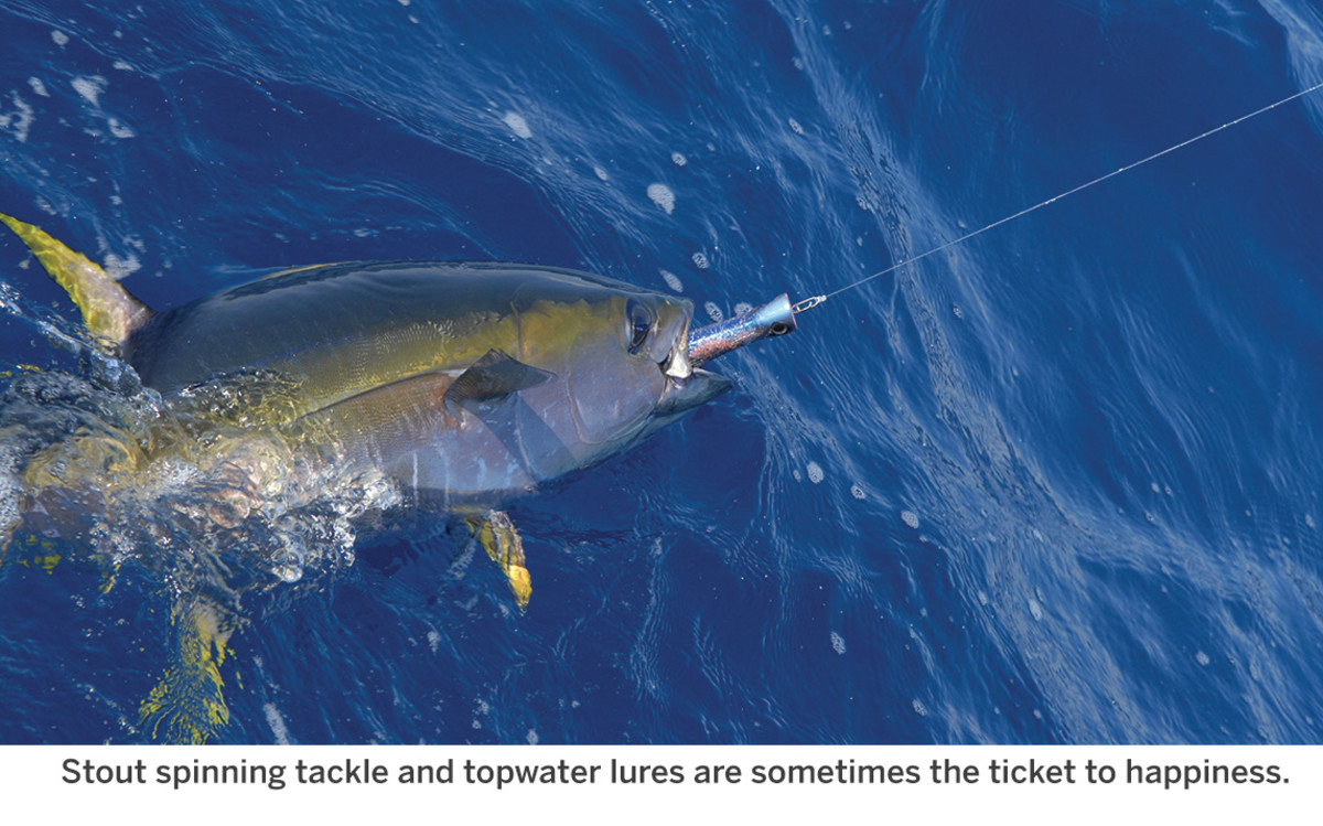 The How, Where, and Why of Fishing for Yellowfin Tuna - Anglers Journal - A  Fishing Life