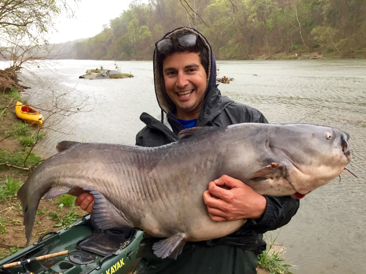 Jay Fleming and his big Potomac River catfish.