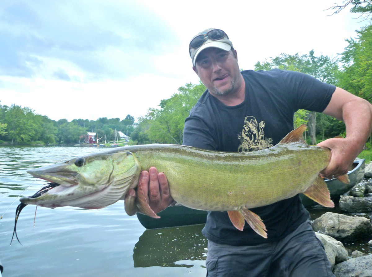 Artist Nick Mayer with a nice fly rod muskie.