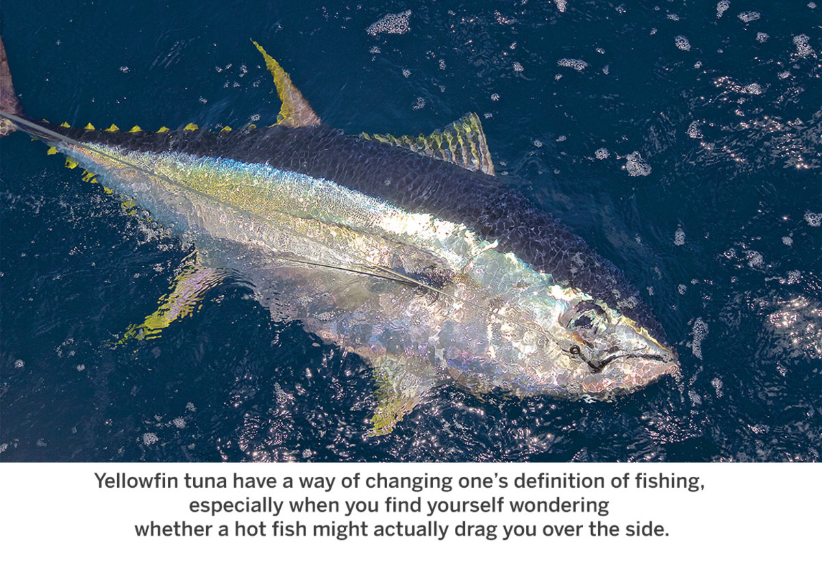 The How, Where, and Why of Fishing for Yellowfin Tuna - Anglers Journal - A  Fishing Life