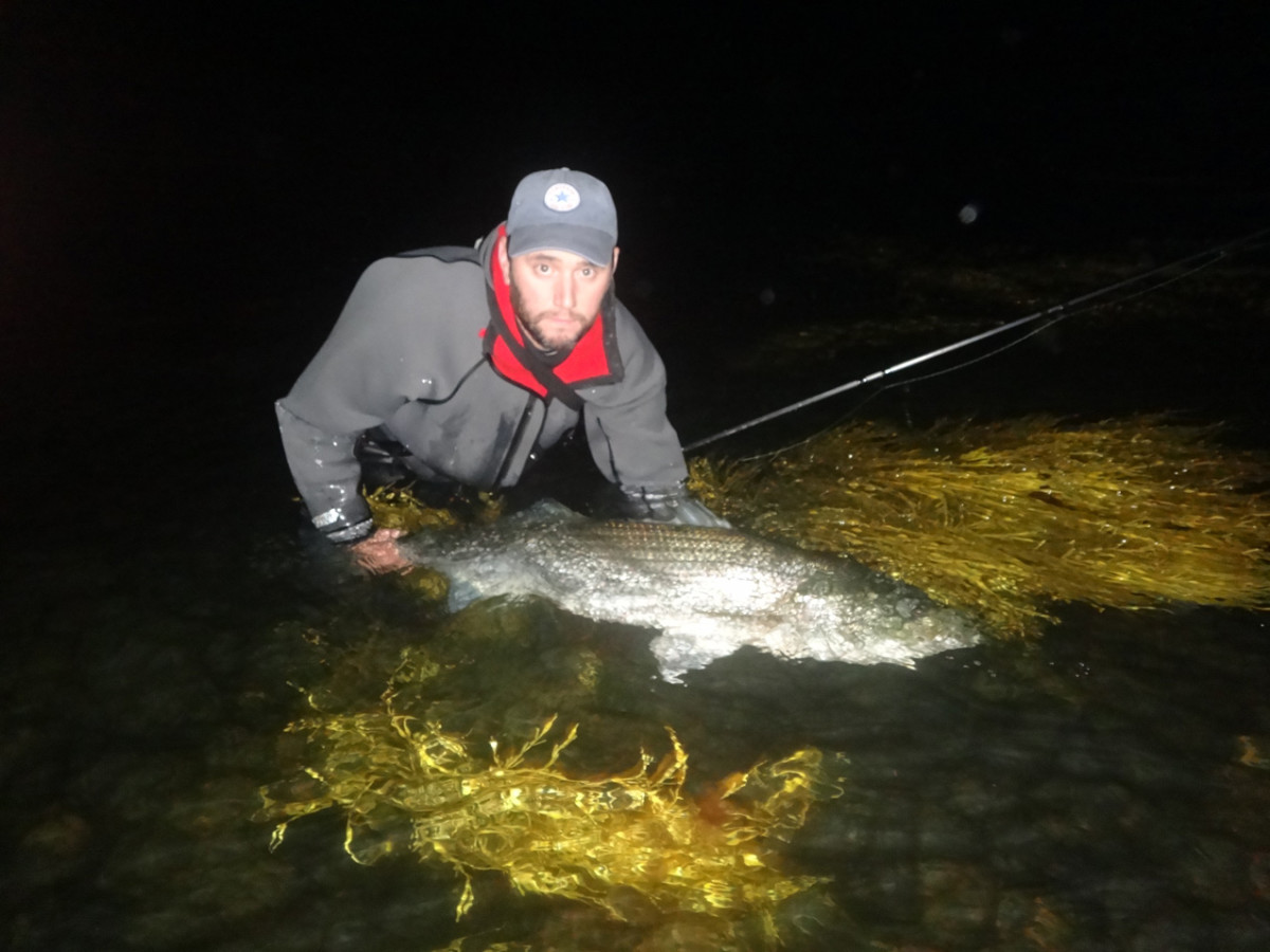 Nighttime is the time for striped bass.