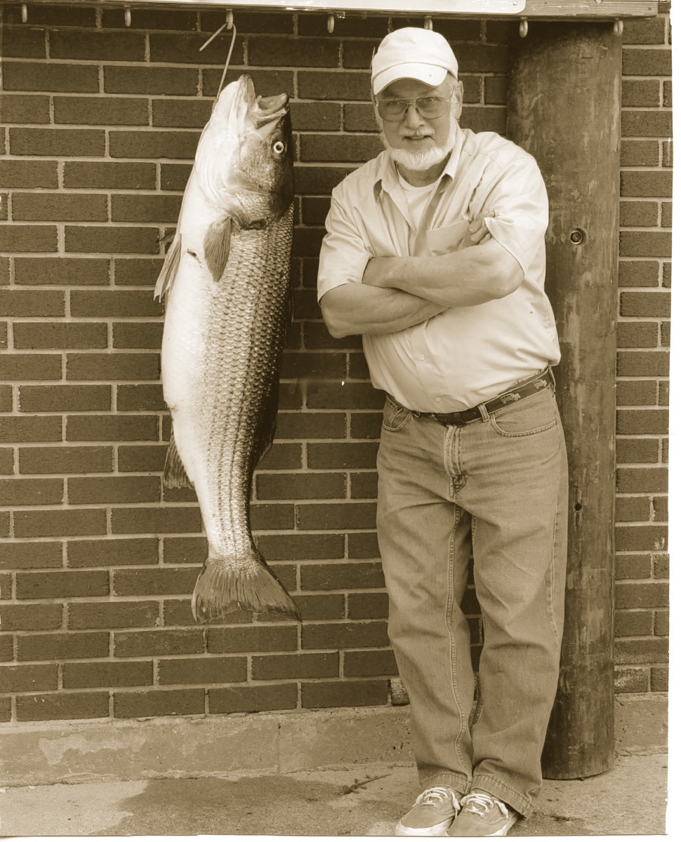 Dick Kohn, who provided the recollections and memories for this story, stands beside his 44¼-pound striper.