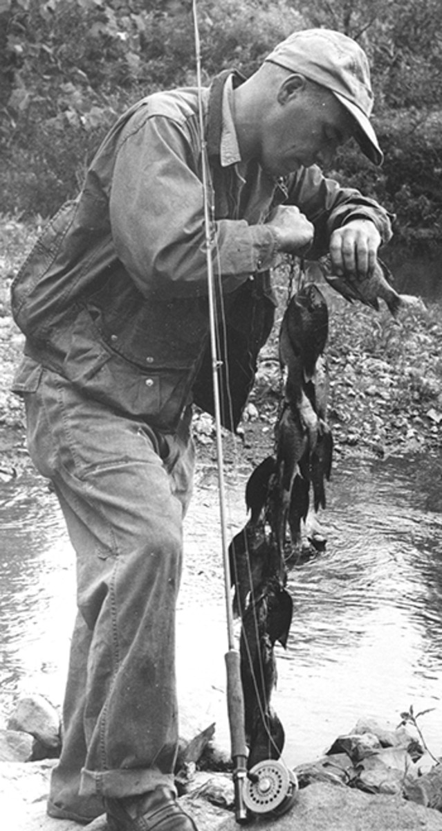 Kreh with a mess of bluegills taken in 1950 from Israel Creek in Frederick, Maryland.