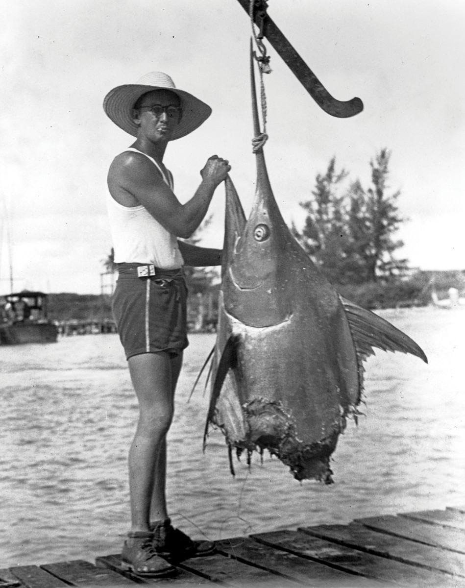 Marlin and giant tuna were routinely “apple-cored” by sharks off Bimini until tackle and techniques evolved to where large fish could be  brought to the boat faster.