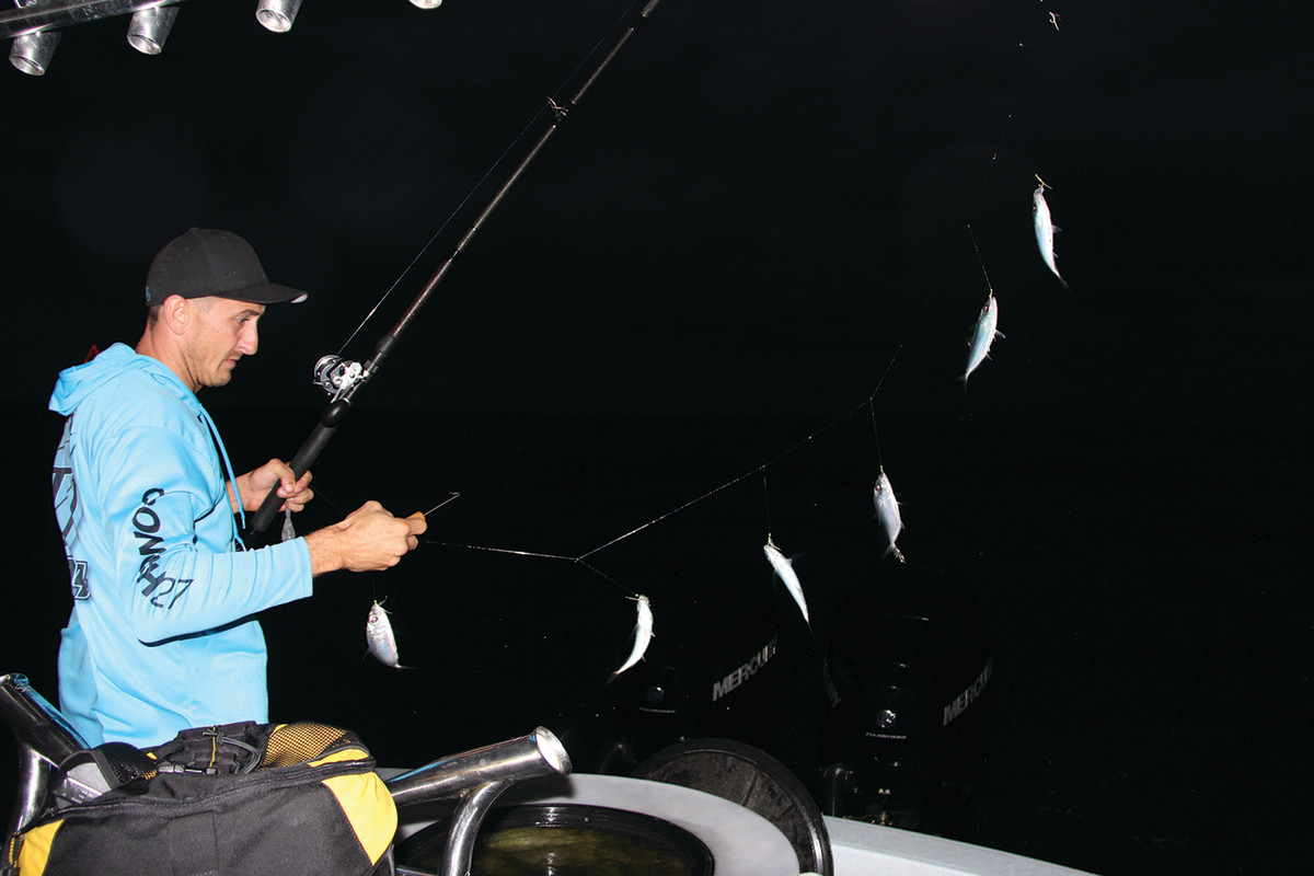 Using long rods, sabiki rigs and a dehooker, Tyler Hall fills his bait tanks without touching the fish.