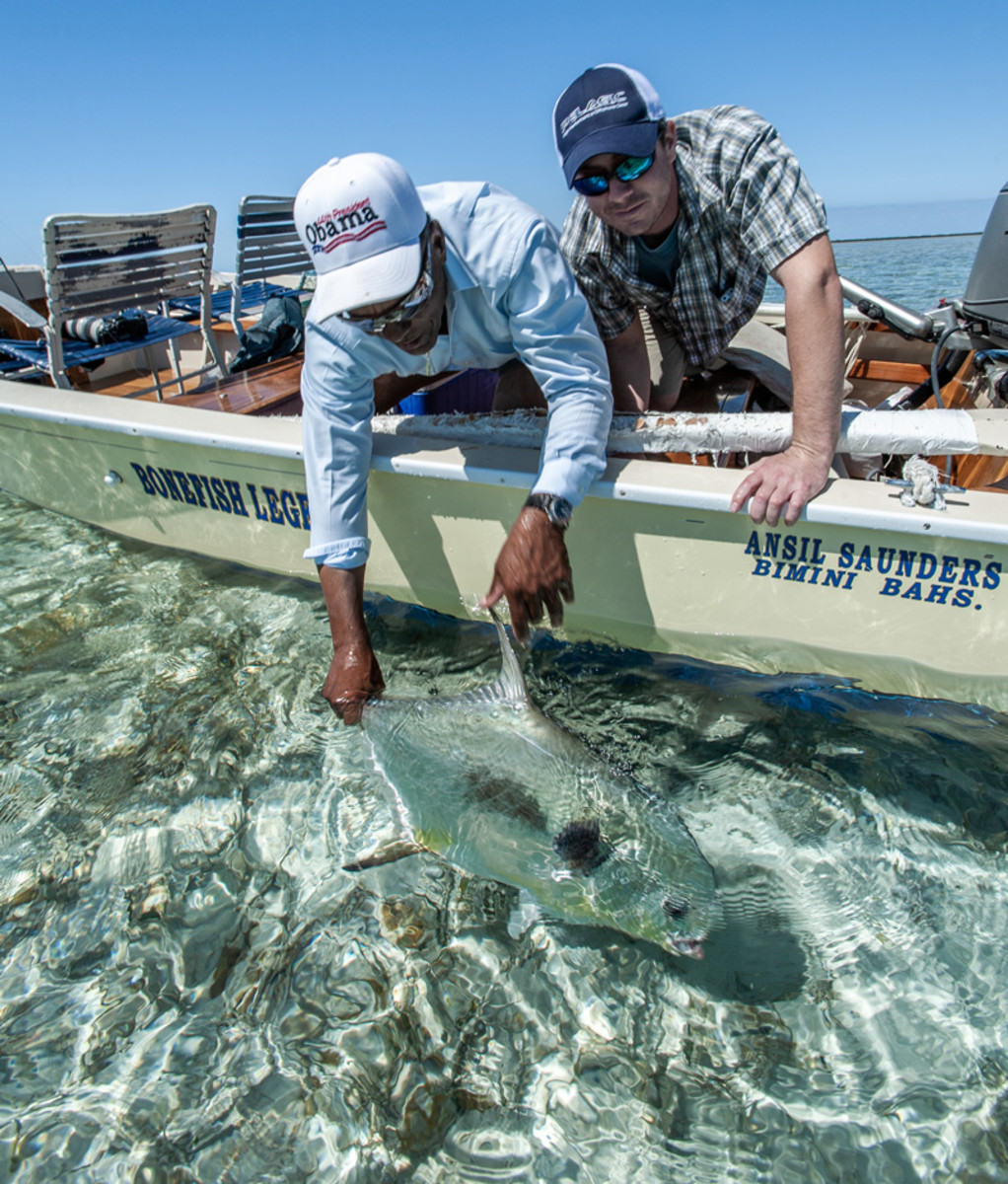 Releasing a nice permit caught with Ansil Saunders. 