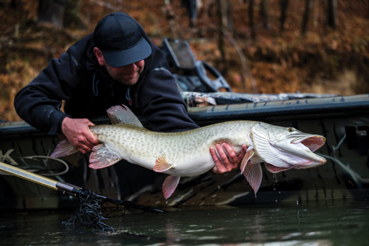 Jason Jackson has spent two decades chasing muskies from Lake St. Clair to the Saint Lawrence but he found his niche on his heavily wooded home waters.