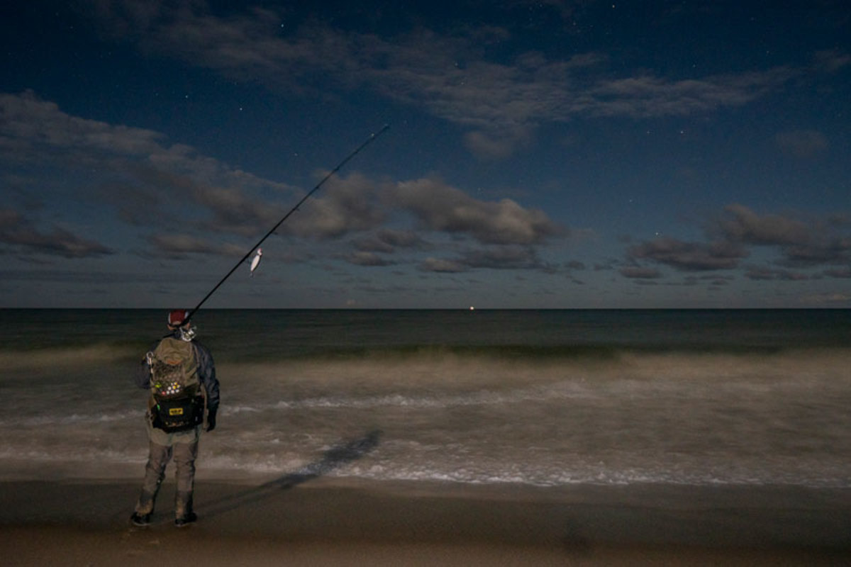 The outer beaches of the Cape are mostly uninhabited at night — by humans, that is.