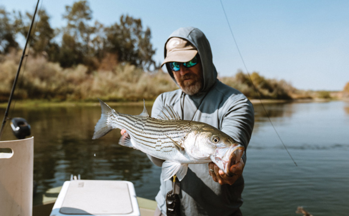 Chuck Ragan holds up a California striped bass, his favorite local foe. 
