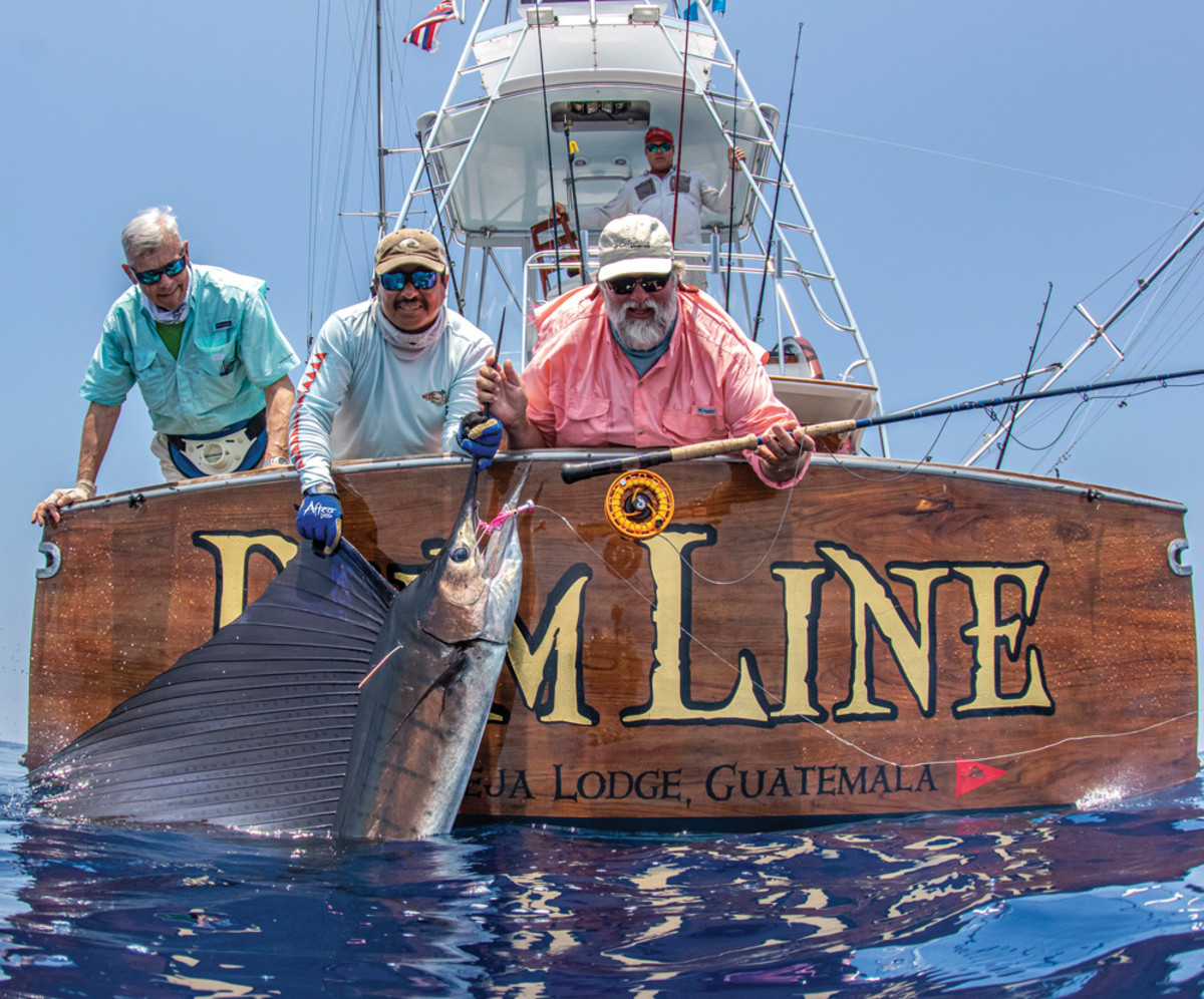While they look large and imposing, the Pacific sailfish is actually a beginner's billfish, according to the writer, Pat Ford.