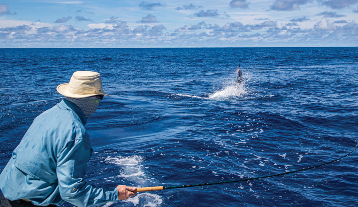 Don't even attempt a strip-set when coming tight to a powerful billfish. Use the rod and hang on.